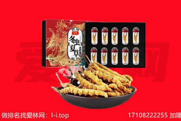邵阳县回收虫草.jpg